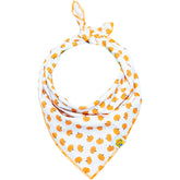 Tiny Pumpkins Matching Set